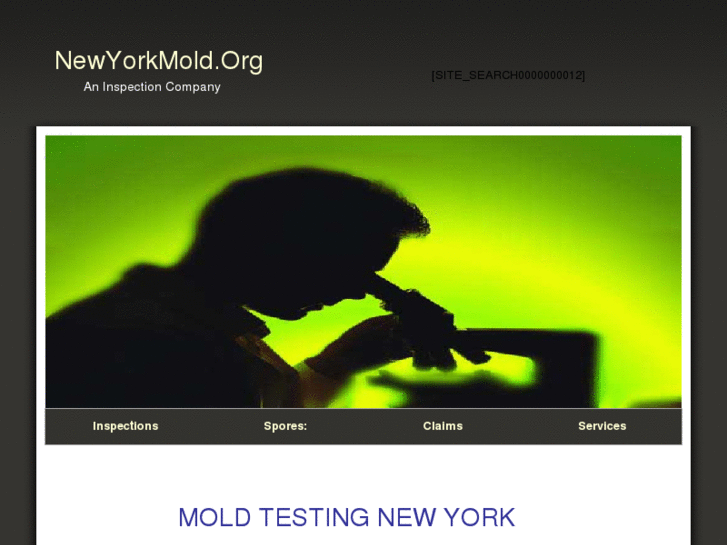 www.moldny.org