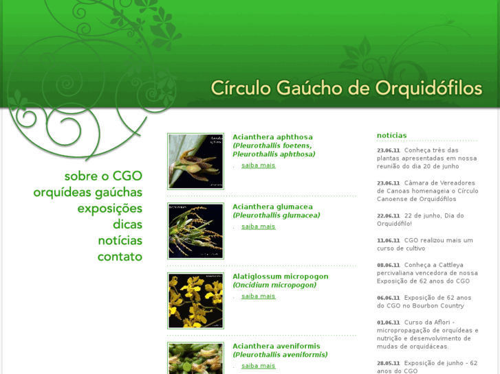 www.orquideas-cgo.com.br