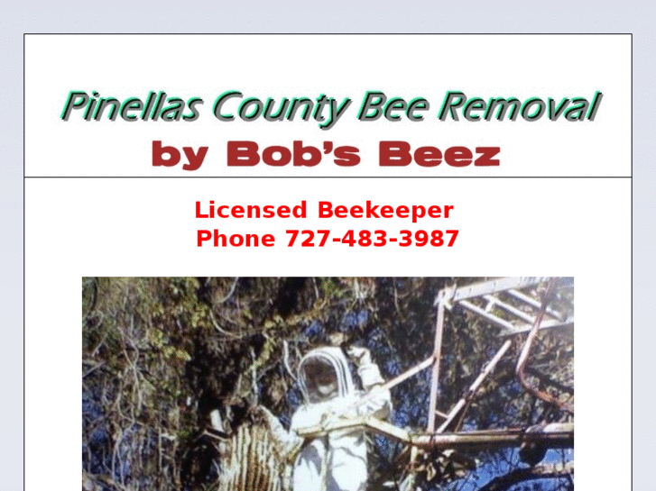 www.pinellascountybeeremoval.com