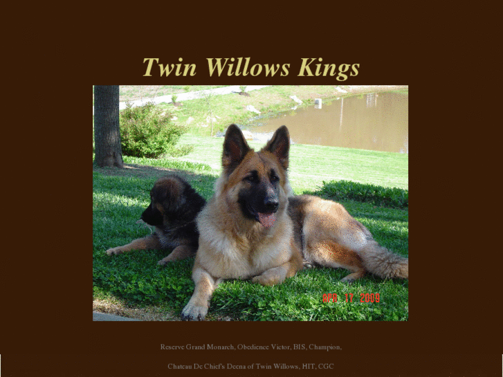 www.twinwillowskings.com