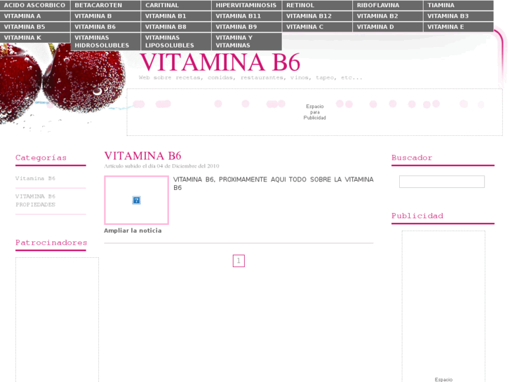 www.vitaminab6.es
