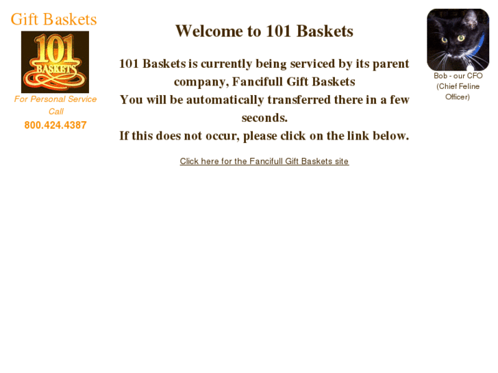 www.101baskets.com