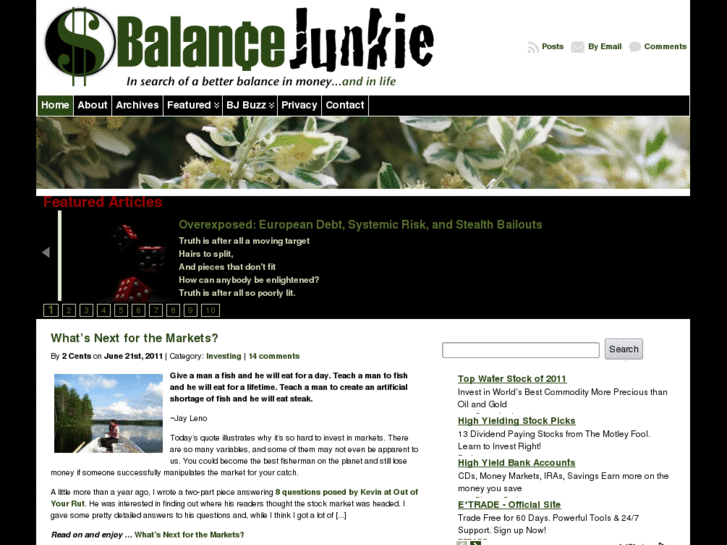 www.balancejunkie.com