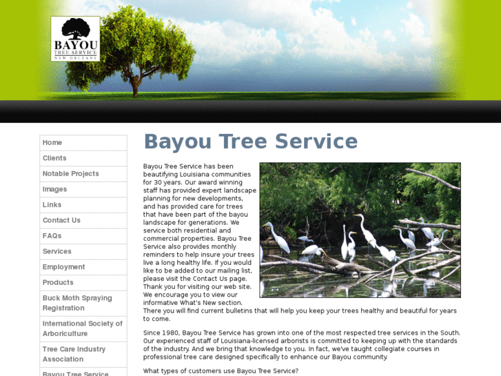 www.bayoutree.com