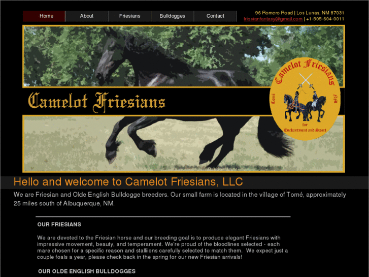 www.camelotfriesians.com