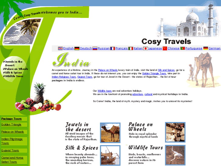 www.cosytravels.com