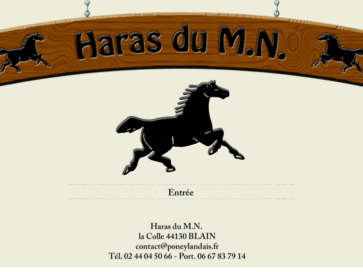 www.harasdumn.com