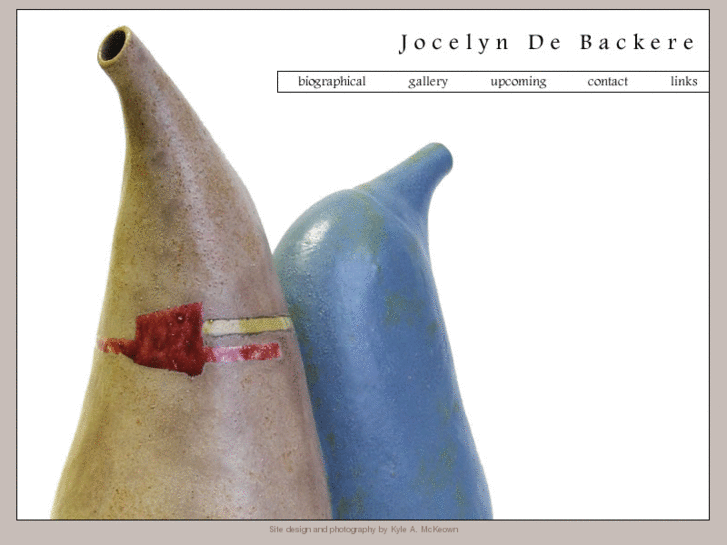 www.jdebackere.com