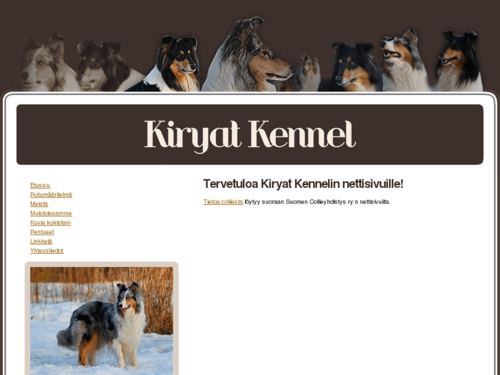 www.kennelitiinaluostarinen.net