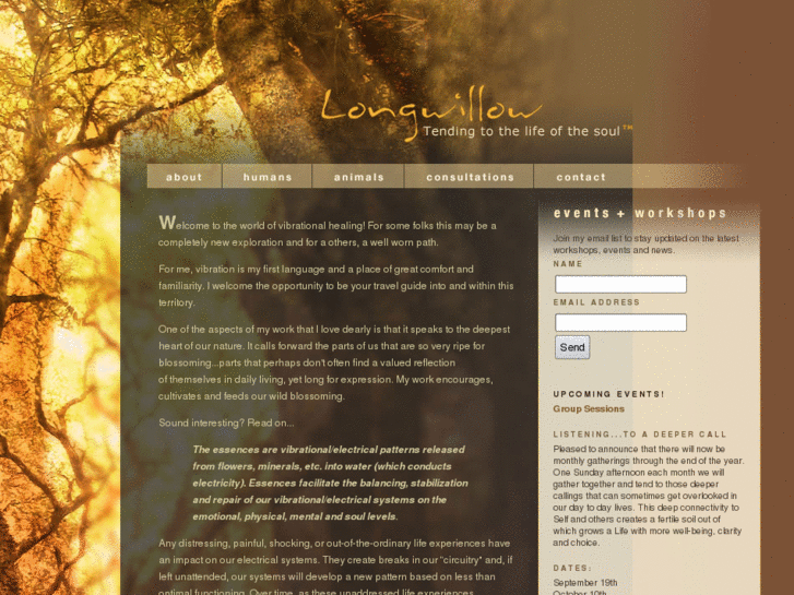 www.longwillow.com