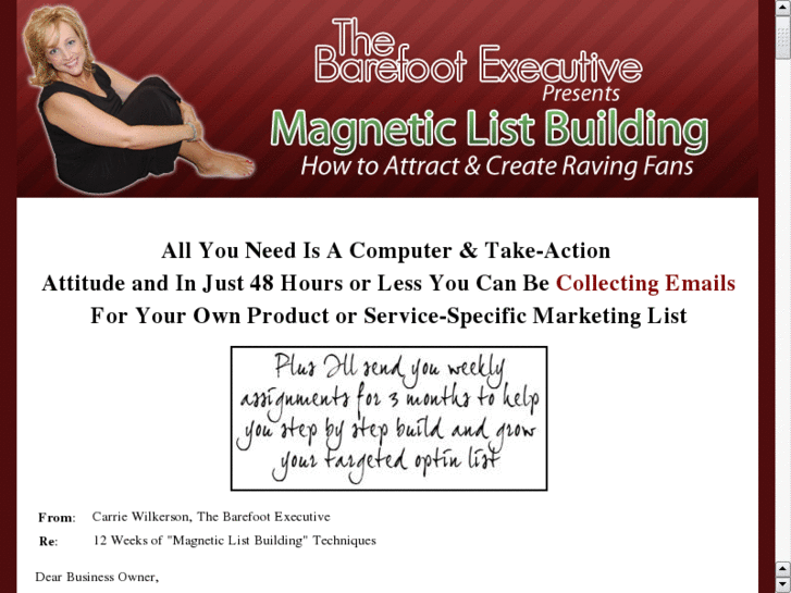 www.magneticlistbuildingsteps.com