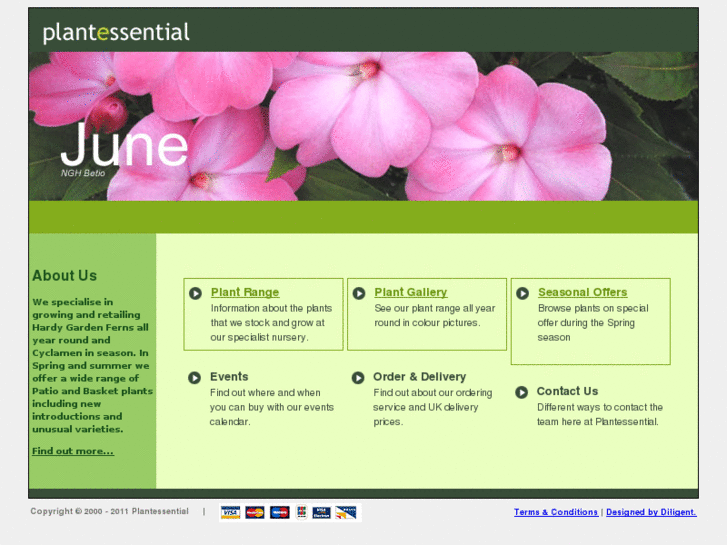 www.plantessential.com