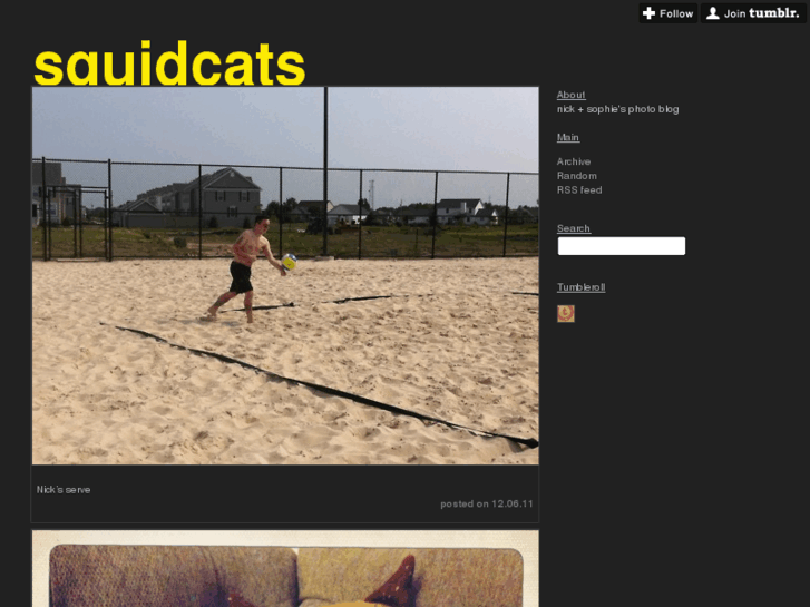 www.squidcats.com