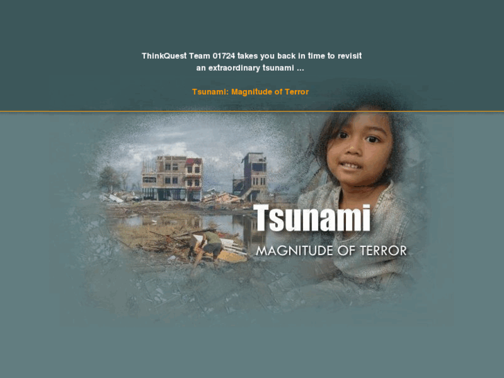 www.tsunamiterror.info