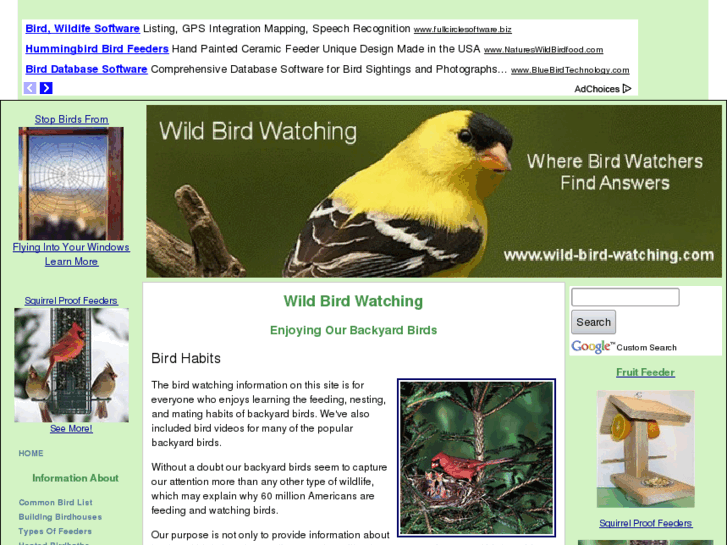 www.wild-bird-watching.com