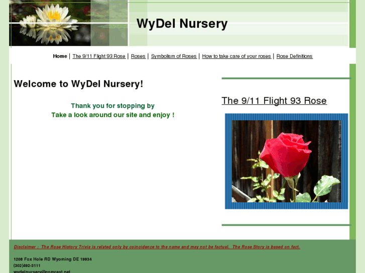 www.wydelnursery.com