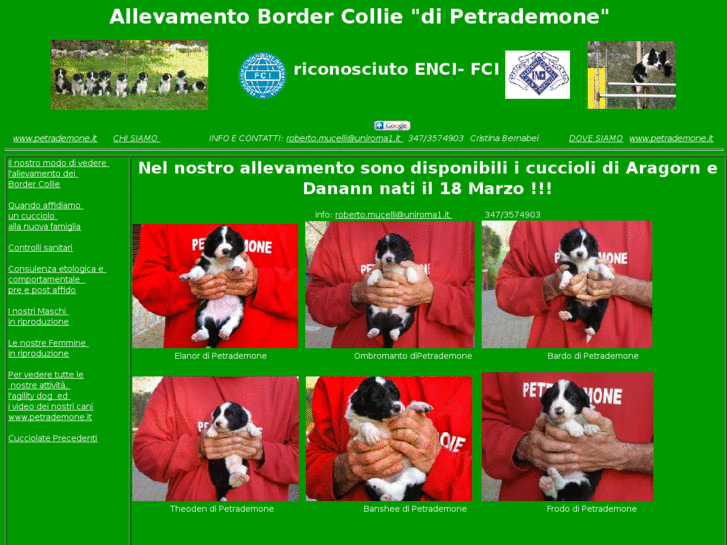 www.allevamentobordercollie.it