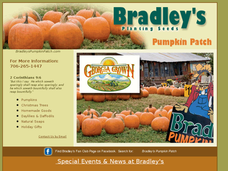 www.bradleyspumpkinpatch.com