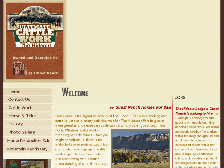 www.cattle-work.com
