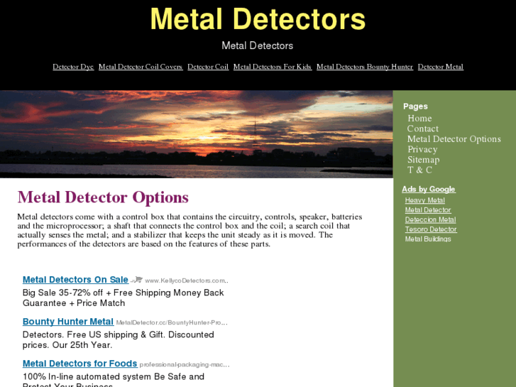 www.detect-metal.info