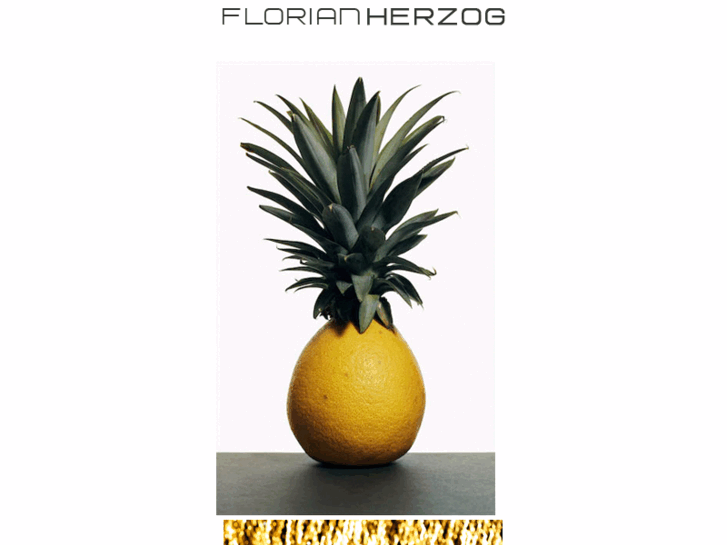 www.florianherzog.com