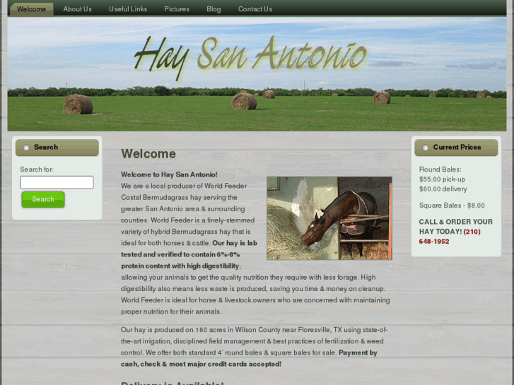 www.hay-sa.com