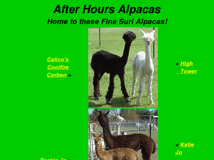 www.afterhoursalpacas.com