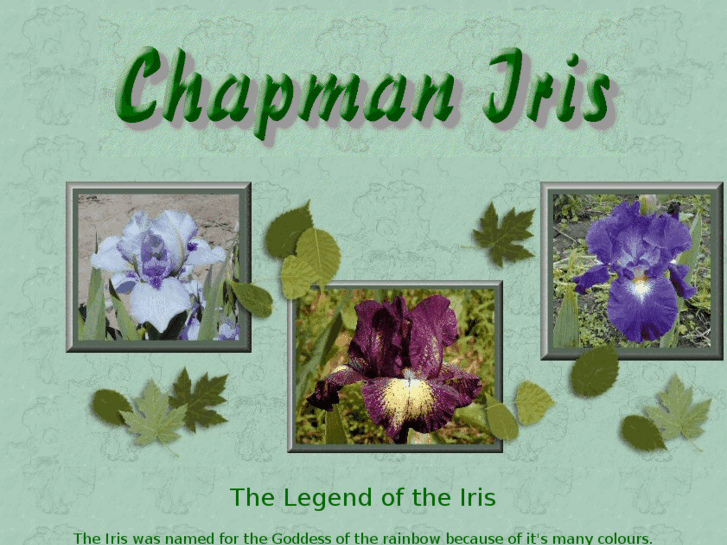 www.chapmaniris.com