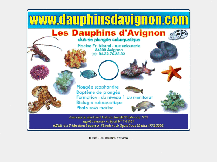 www.dauphinsdavignon.com