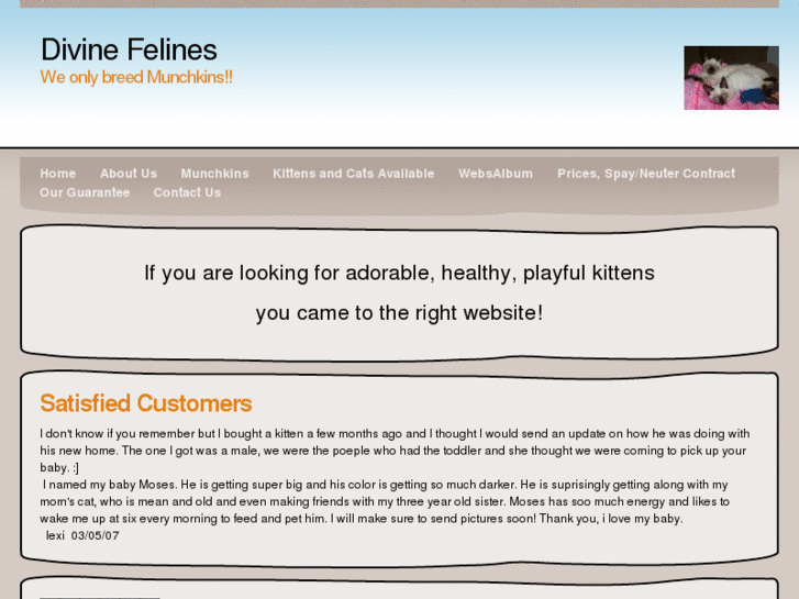 www.divinefelines.com