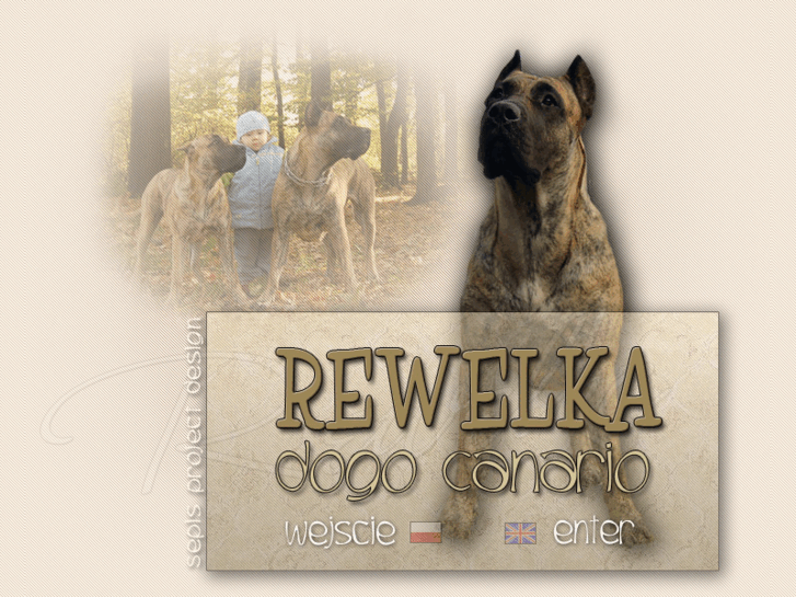 www.rewelka.com