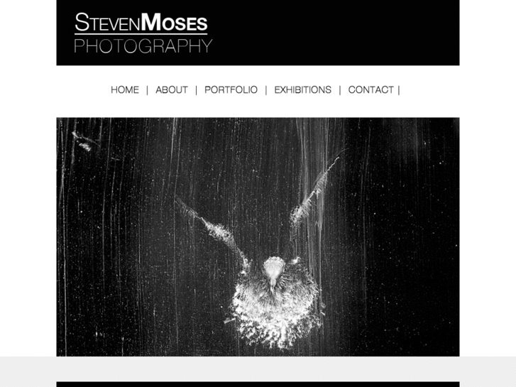 www.stevenmosesphotography.com