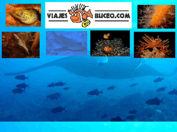 www.viajesbuceo.com