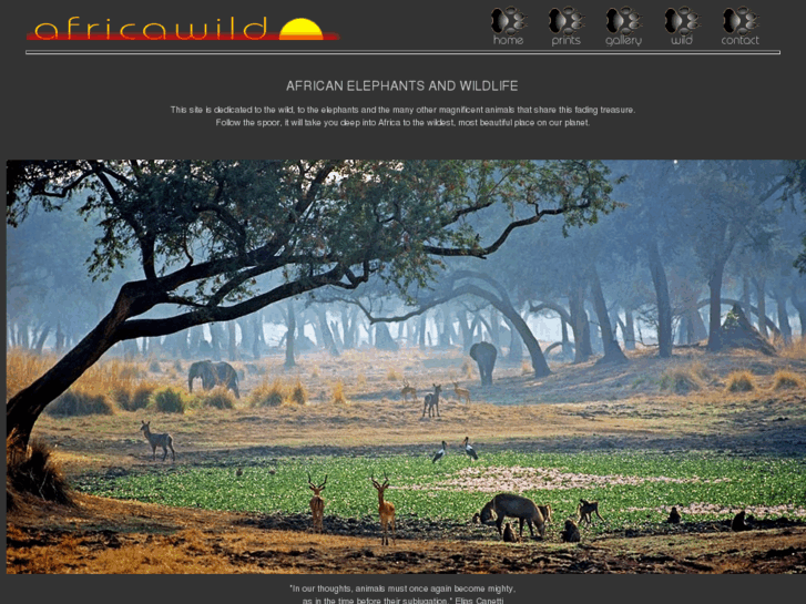 www.africawild.com