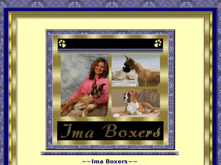 www.imaboxers.com