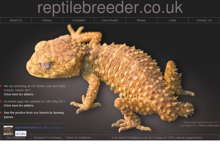 www.reptilebreeder.co.uk