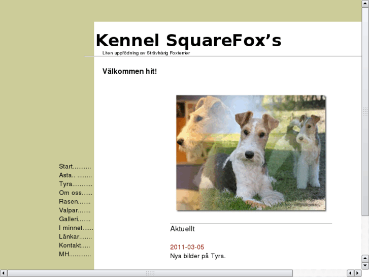 www.squarefoxs.com