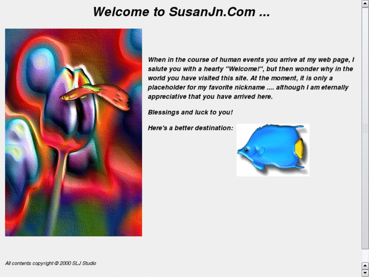 www.susanjn.com