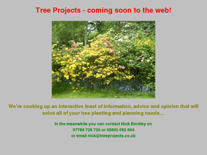 www.treeprojects.co.uk