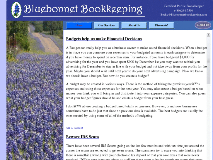 www.bluebonnetbookkeeping.com