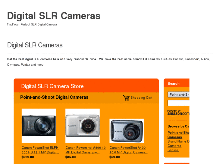 www.digitalslrcameras-311.com