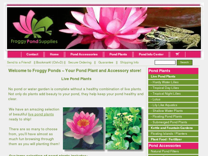 www.froggyponds.com