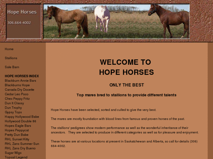 www.hopehorses.com