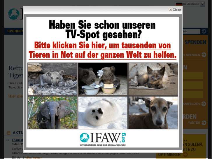 www.ifaw.de