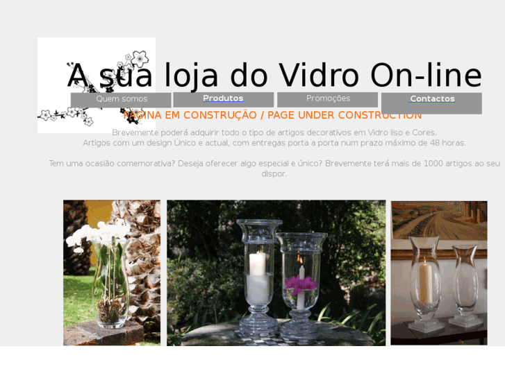 www.lojadovidro.com