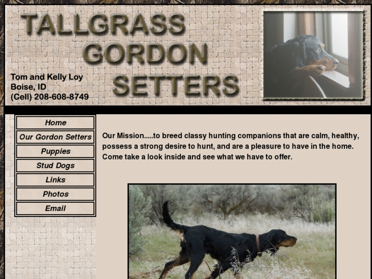 www.tallgrassgordonsetters.com