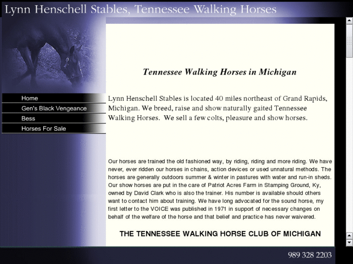 www.tennesseewalkinghorses.com