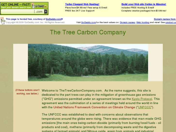 www.thetreecarboncompany.com