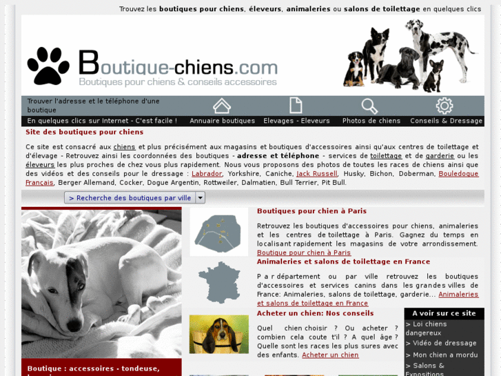 www.boutique-chiens.com