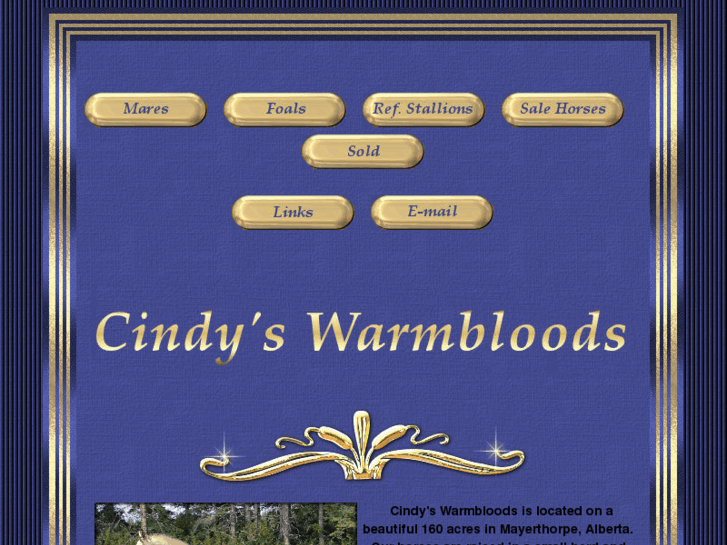 www.cindyswarmbloods.com